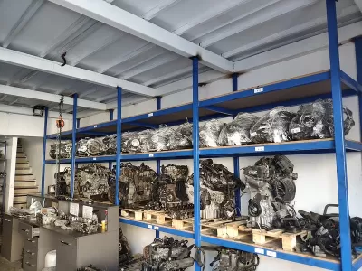 TEKLİ CAM DÜĞMESİ OEM 7L6 959 855 B JETTA PASSAT POLO
